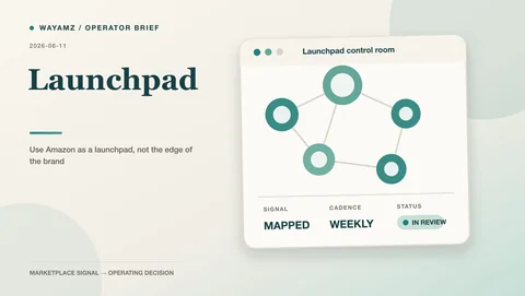Use Amazon as a launchpad, not the edge of the brand visual summary