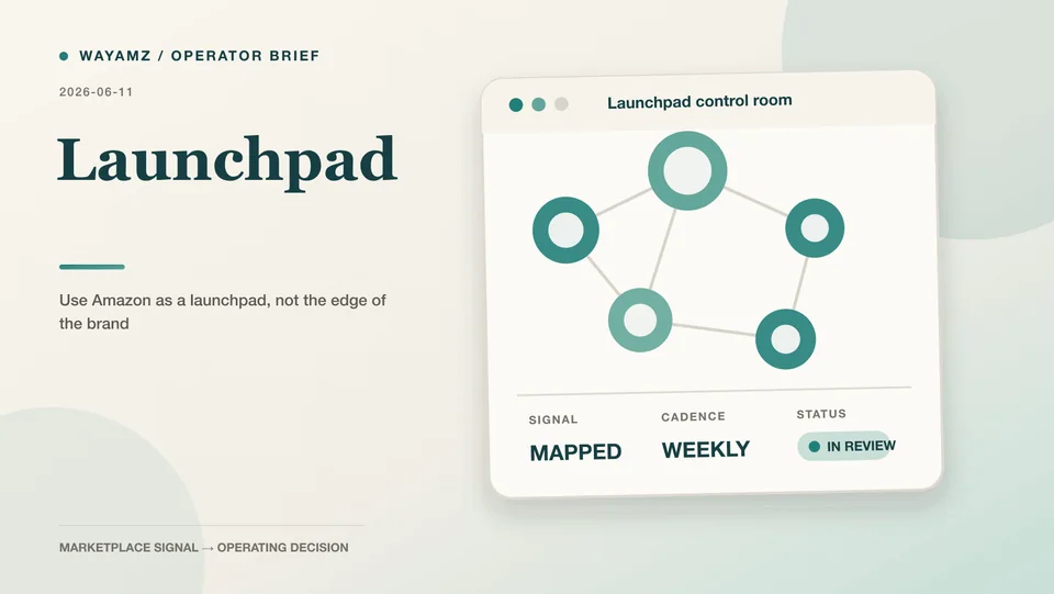 Use Amazon as a launchpad, not the edge of the brand visual summary