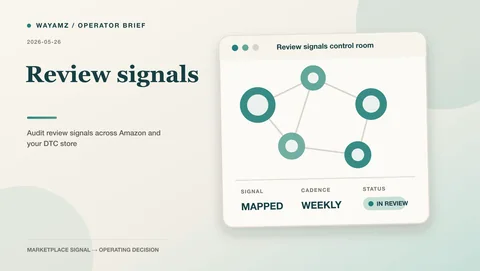 Audit review signals across Amazon and your DTC store visual summary