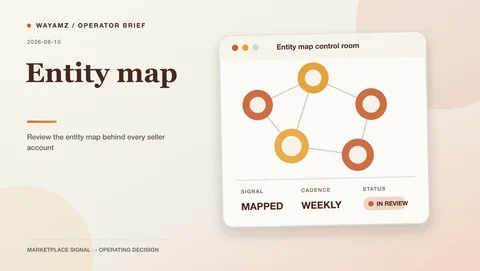 Review the entity map behind every seller account visual summary