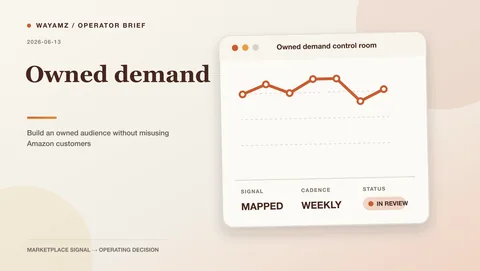 Build an owned audience without misusing Amazon customers visual summary